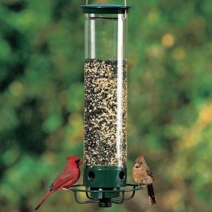 New Spring 2024🔥100% Squirrel-Proof Bird Feeder